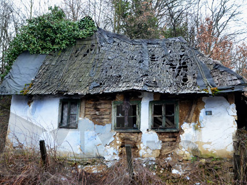 Foto: Casa traditionala parasita Maramures